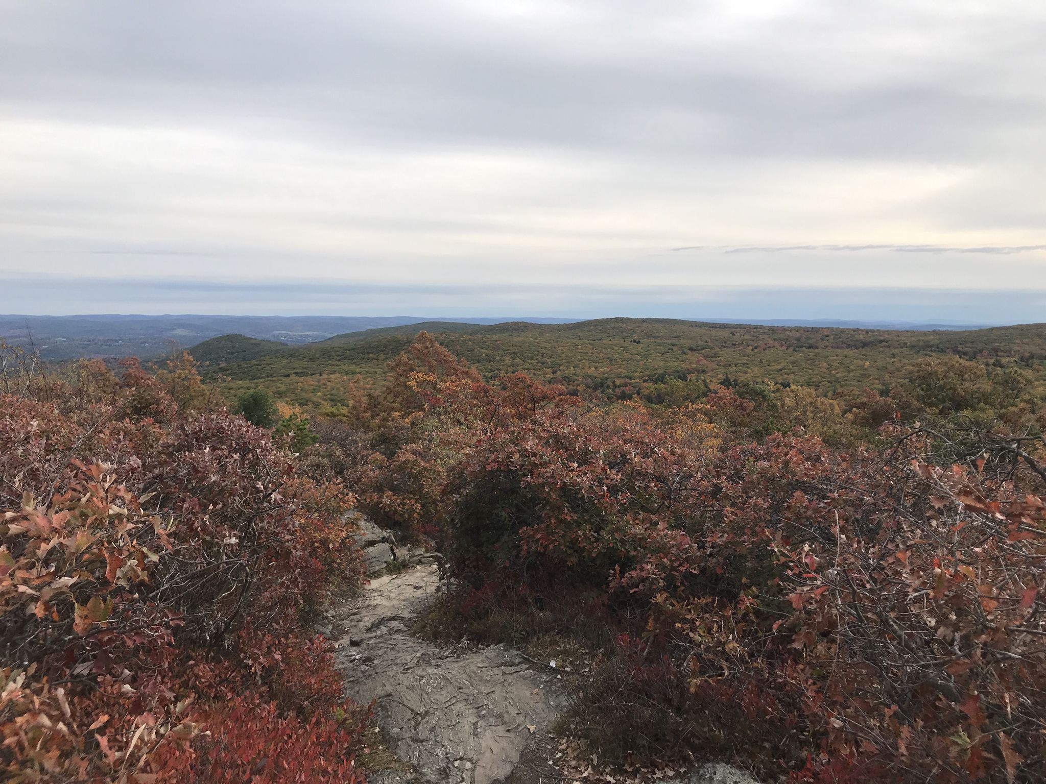 Rocky path through vibrant red and brown autumn foliage under cloudy sky. - Bear Mountain and Mount Race via Undermountain and Appalachian Trail
