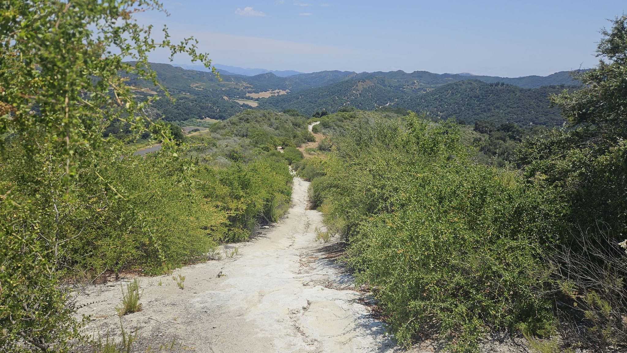 Dirt path winding through green hills under a clear sky. - Lopez Lake Recreation Area loop