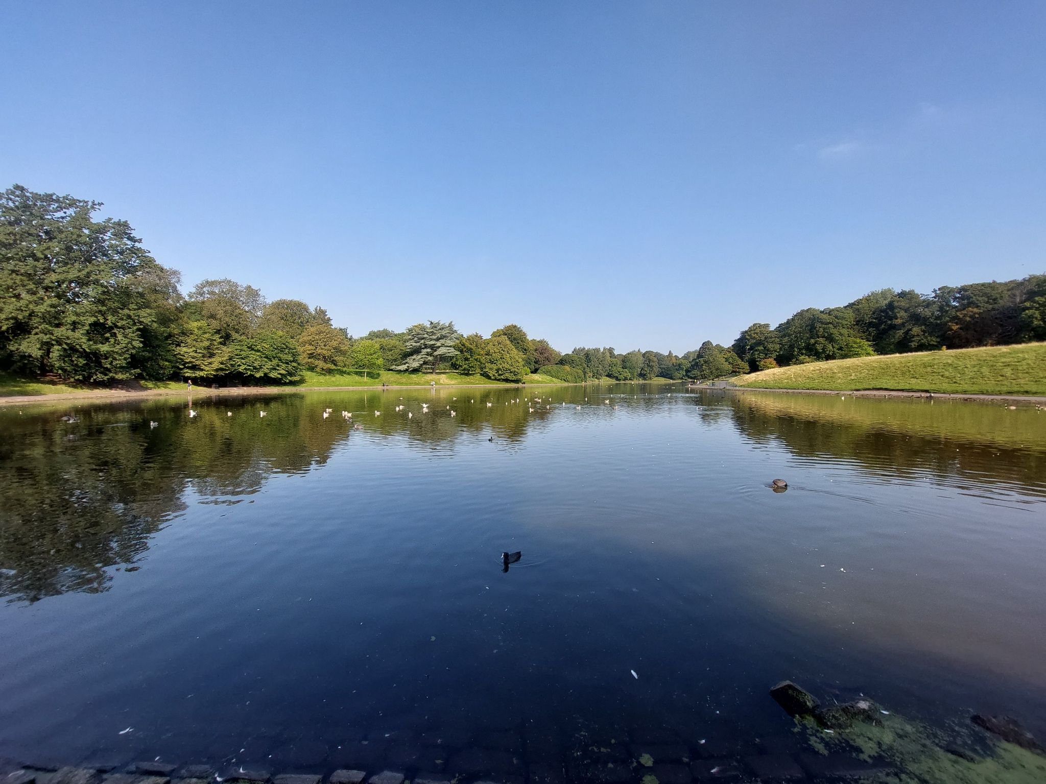Sefton Park Lake