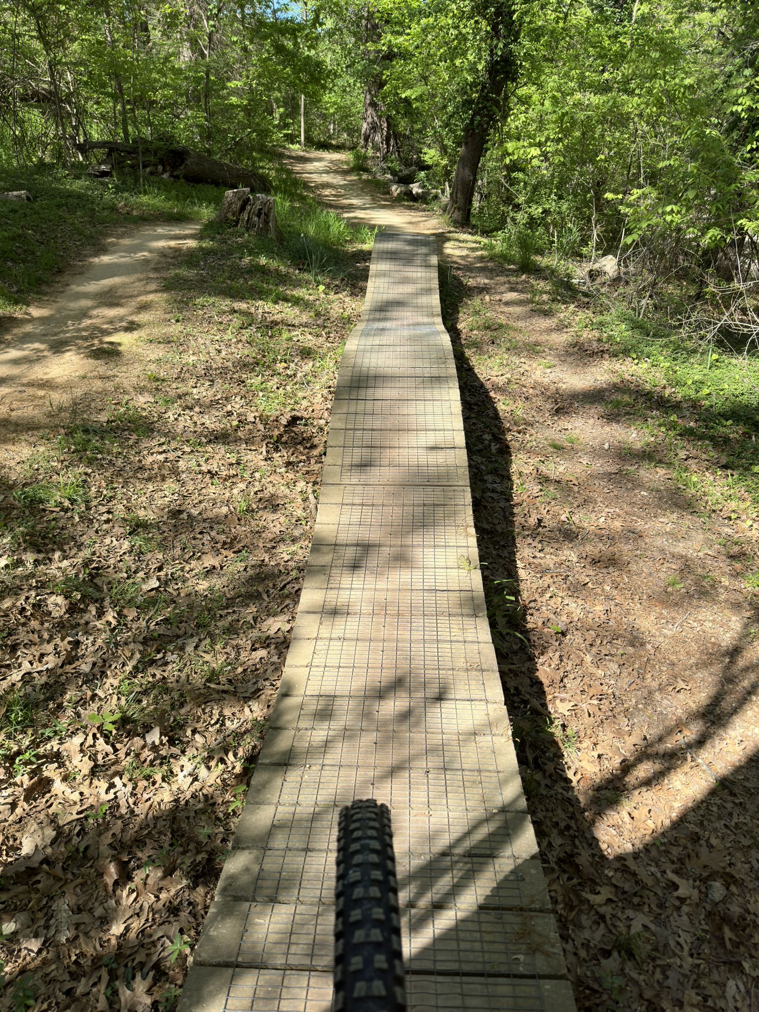 Mountain bike tire on a narrow wooden plank path through a green forest. - The Castle Drop in – Bentonville City Square loop from Bentonville