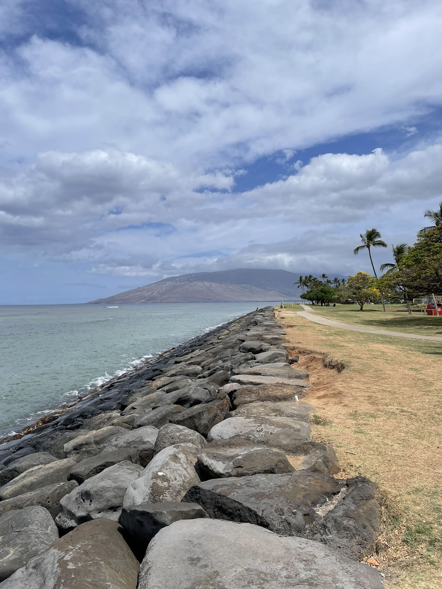 Rocky seawall along ocean under cloudy sky, with distant mountain. - Kalama Park loop