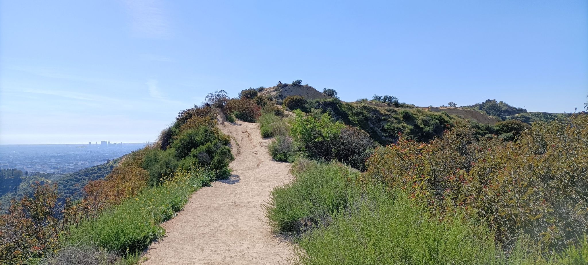 Dirt path winding up a brush-covered hill under a clear blue sky. - Hogback Loop