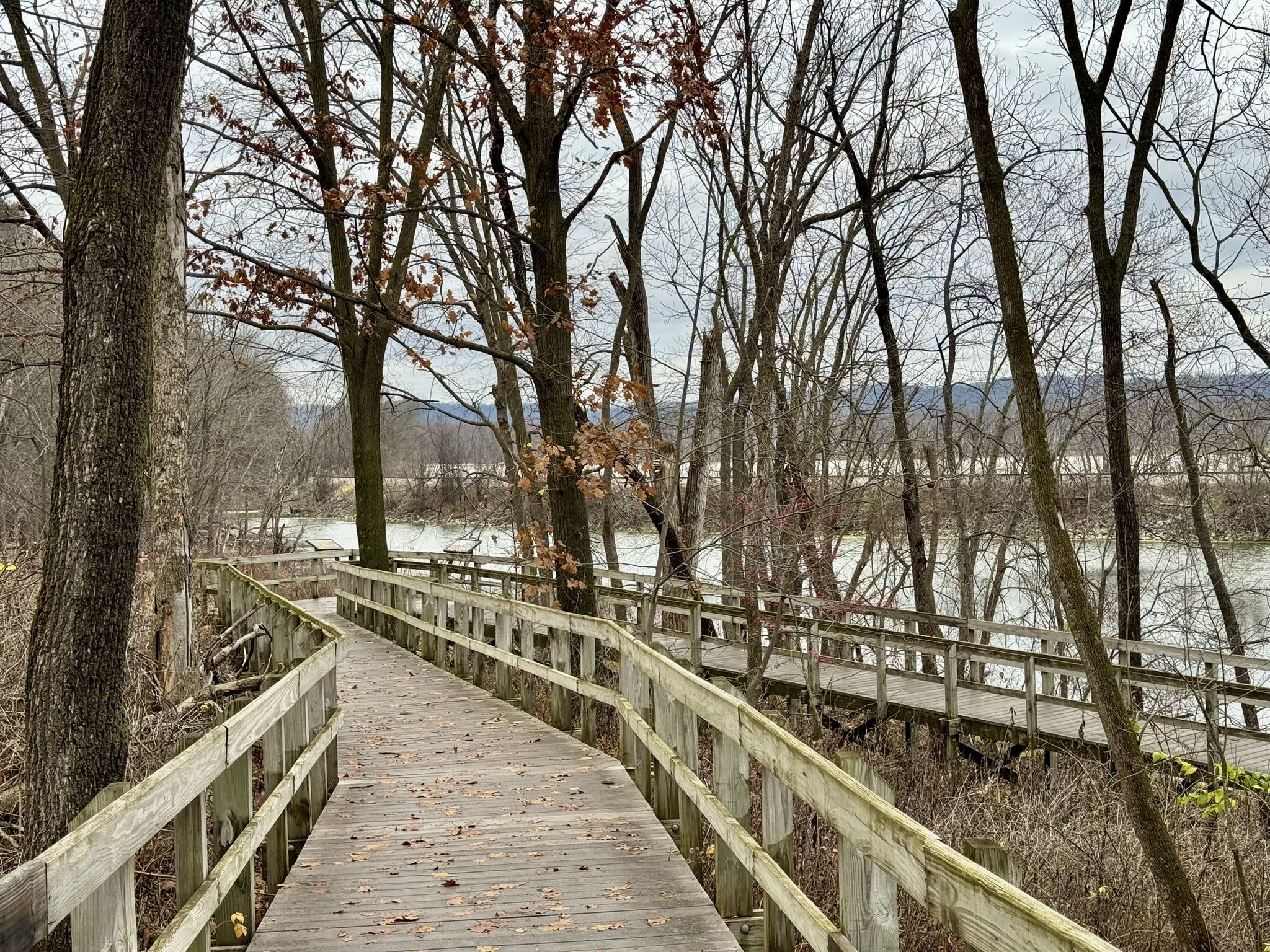 The Yellow River Boardwalk Trail