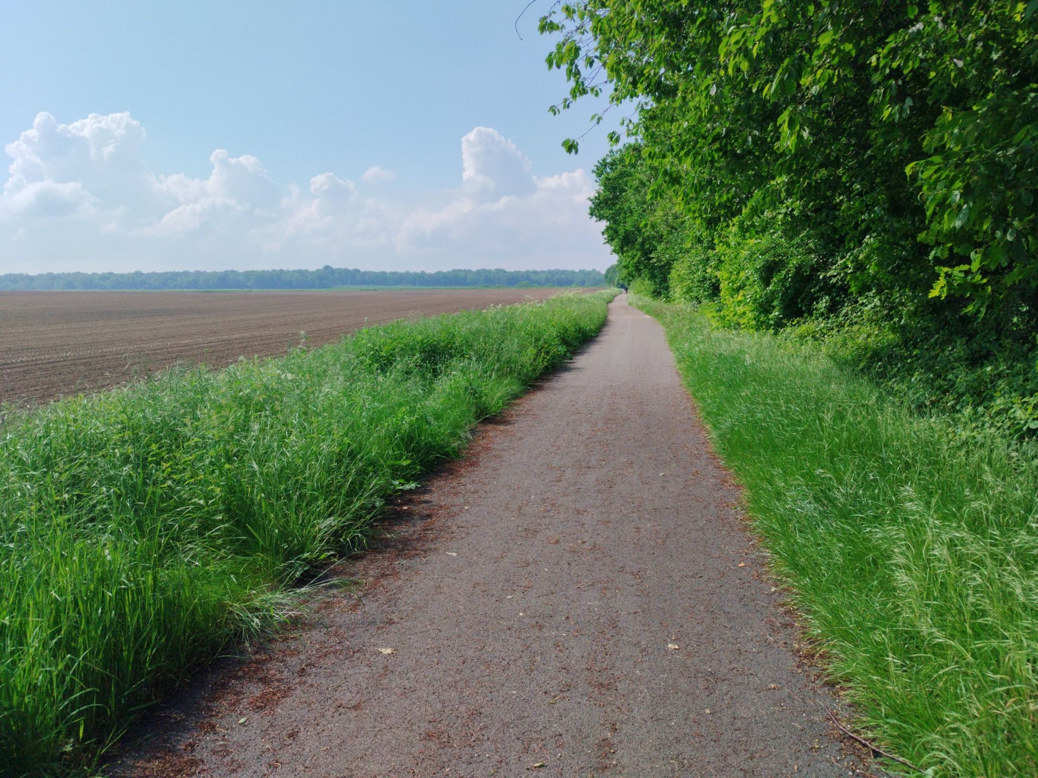 Bahntrassenradweg EV3