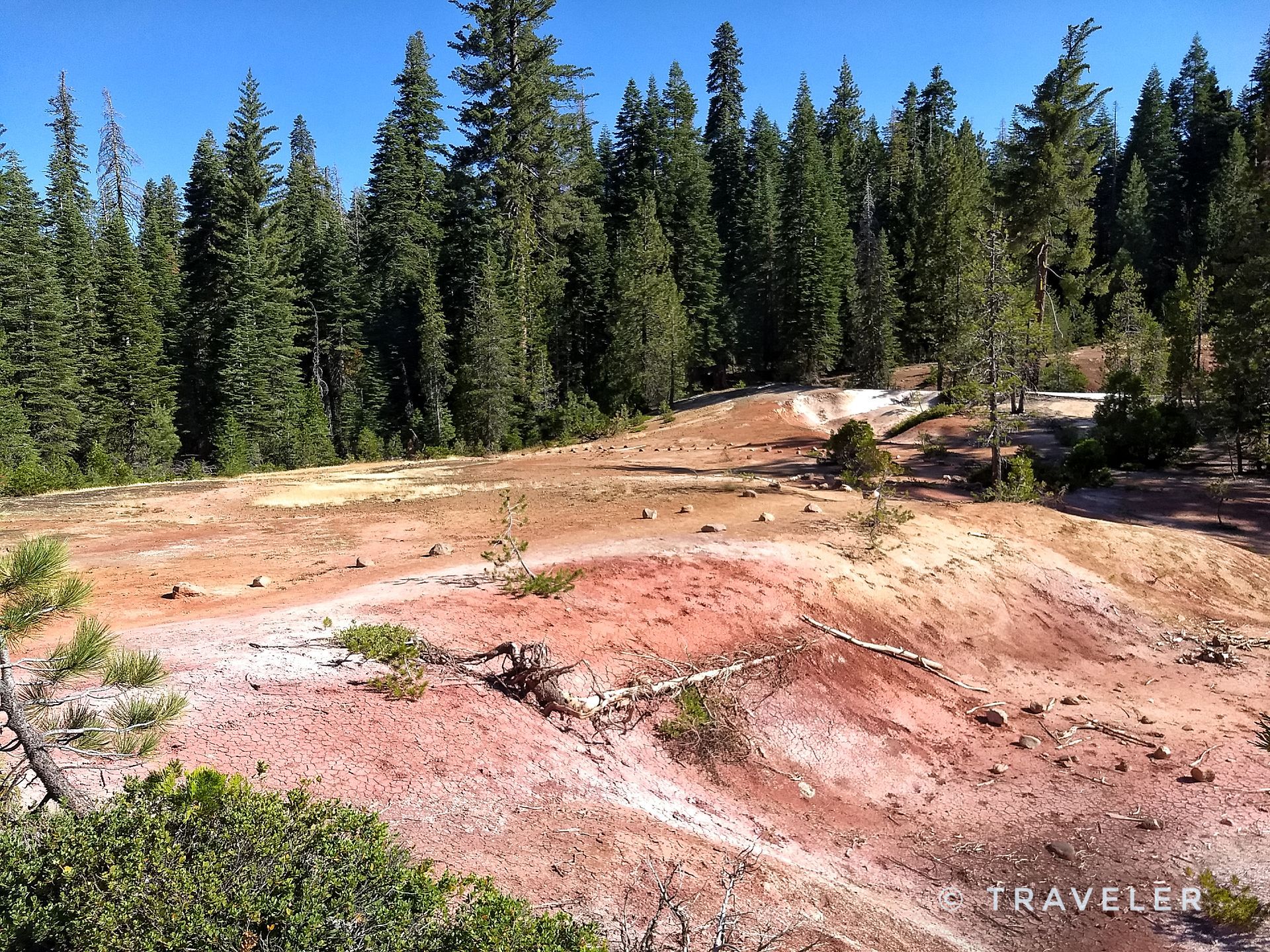 Reddish-brown volcanic ground with sparse vegetation, backed by a dense pine forest. - Boiling Springs Lake Trail