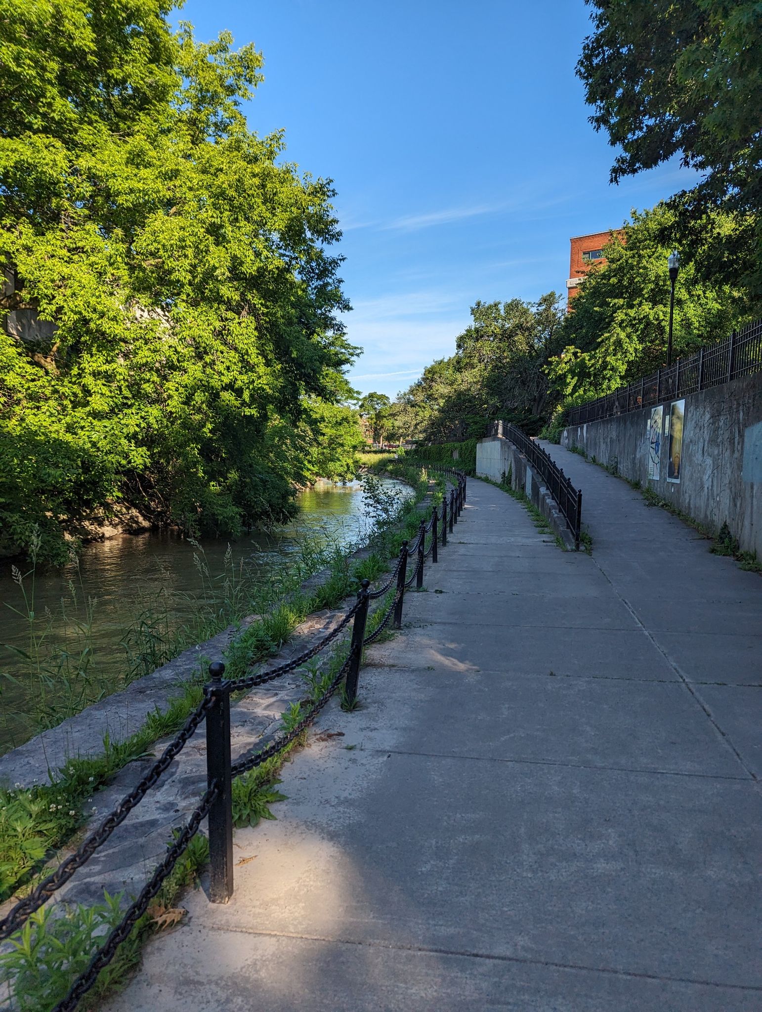 Concrete path alongside a canal, surrounded by lush green trees on a bright day. - Onondaga Creek – Armory Square loop from Syracuse