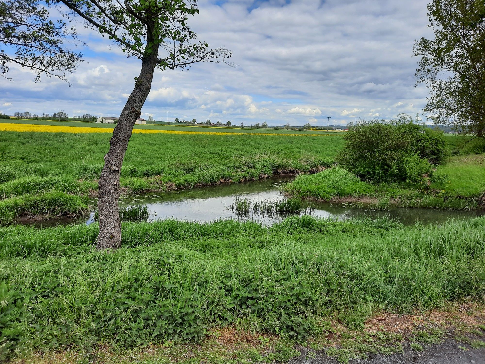 Horloffmündung in die Nidda