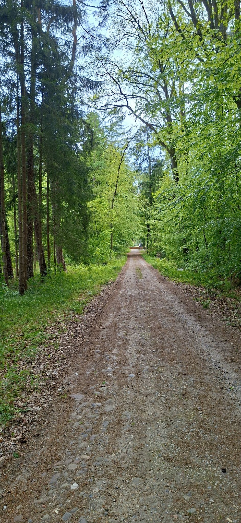 Im Märchenwald