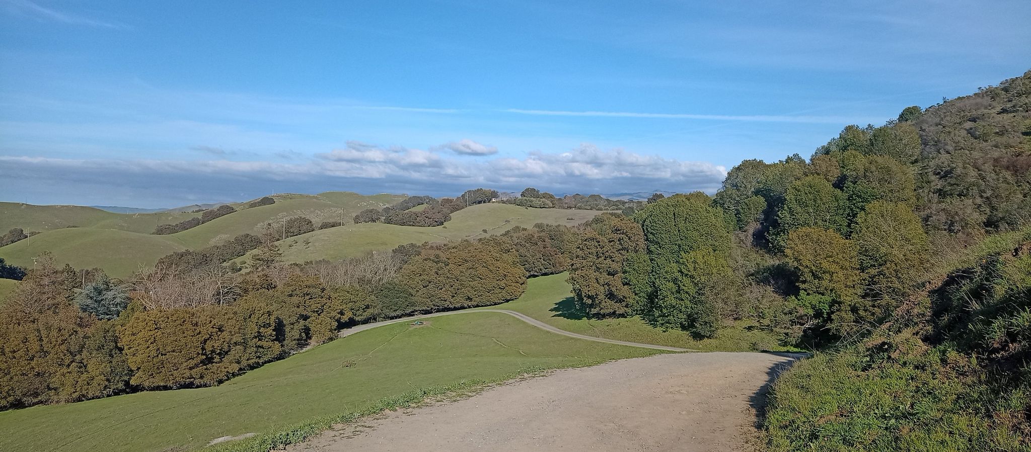 A dirt road winds through green rolling hills and scattered trees under a blue sky. - Mission Peak and Peak Meadow Loop from Ohlone College