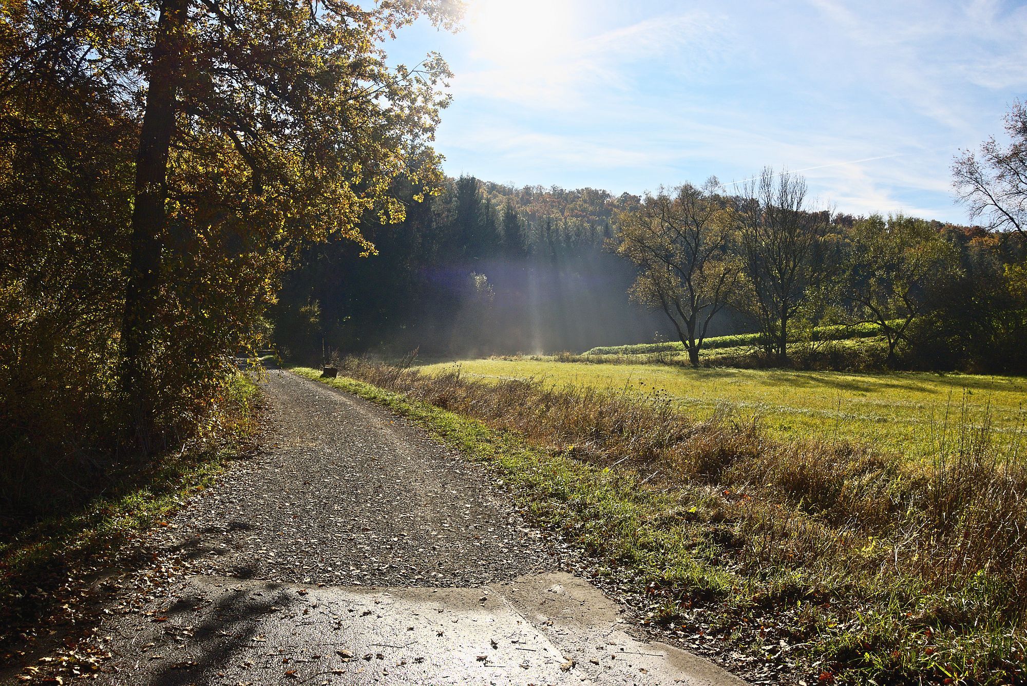 Ich folge dem Waldweg entlang des Dürrbachs