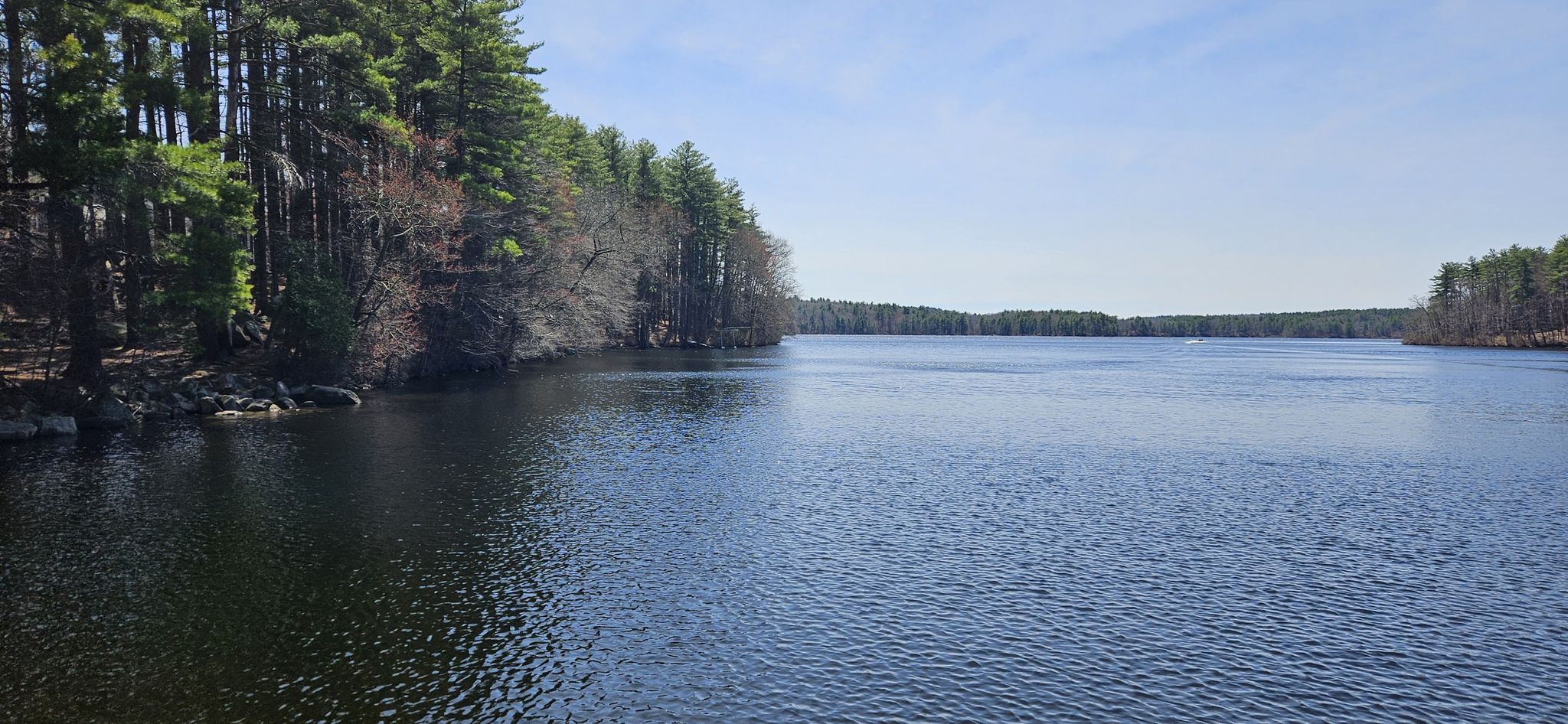 Wide view of a calm lake surrounded by dense forest under a clear sky. - Whitehall State Park loop