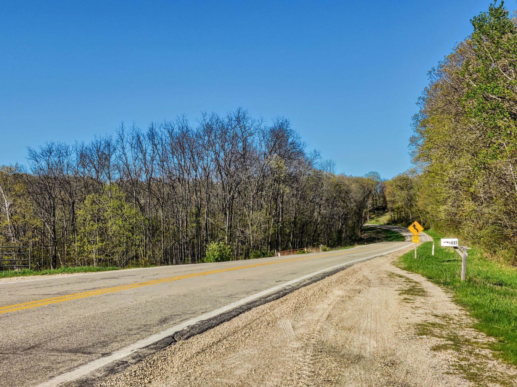 An empty road curves through a forest with a clear blue sky. - La Valle and Back loop