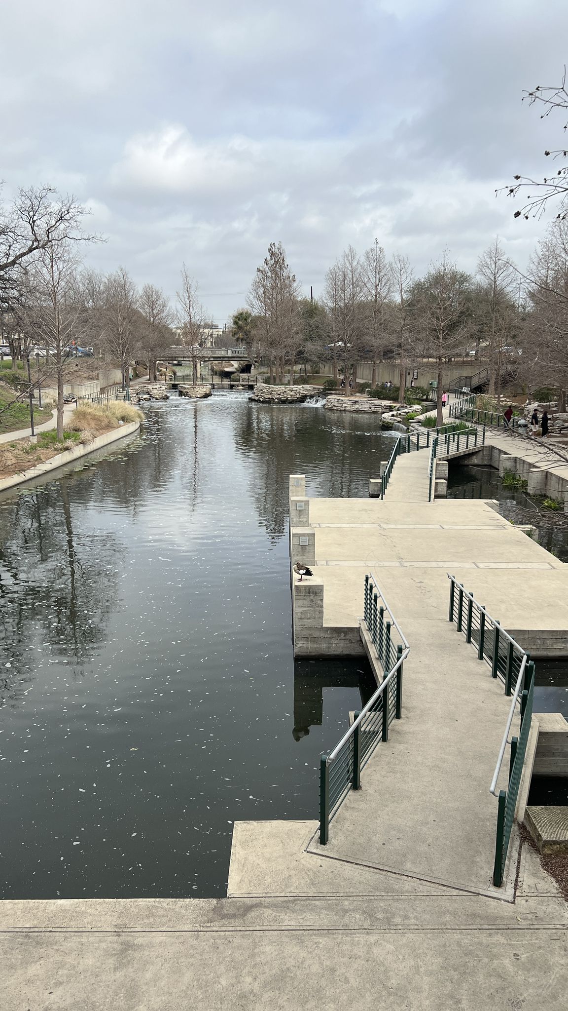 River with concrete platforms, railings, and bare trees on a cloudy day. - Alamo Mills Dam – San Antonio River Walk loop from Trinity University