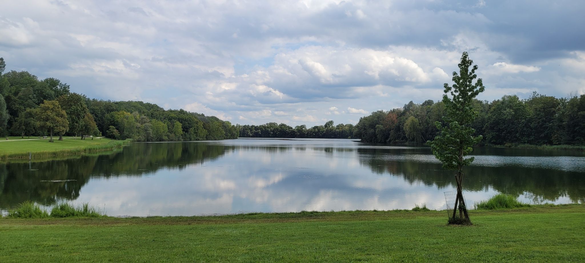 Auwaldsee