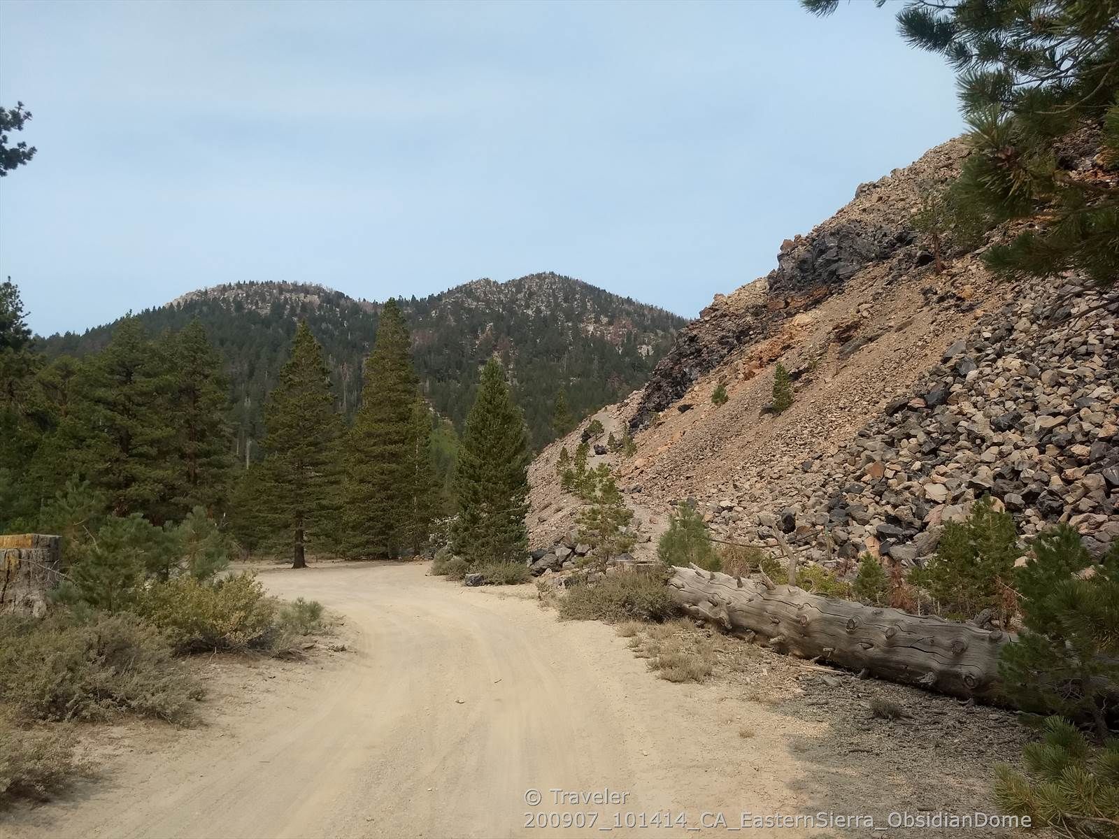 Dirt road leads into a forested valley with rocky hillsides under a clear sky. - Obsidian Dome Loop Road