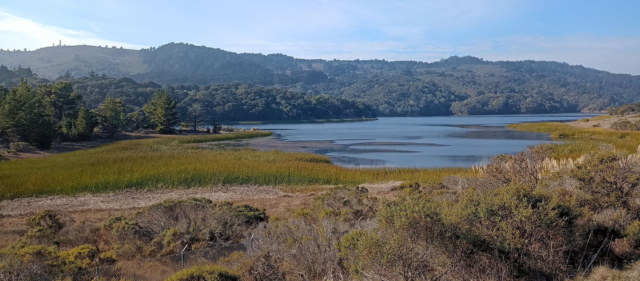 Panoramic view of a calm lake with marshy shores and forested hills. - San Andreas Trail – San Andreas Lake loop from San Bruno