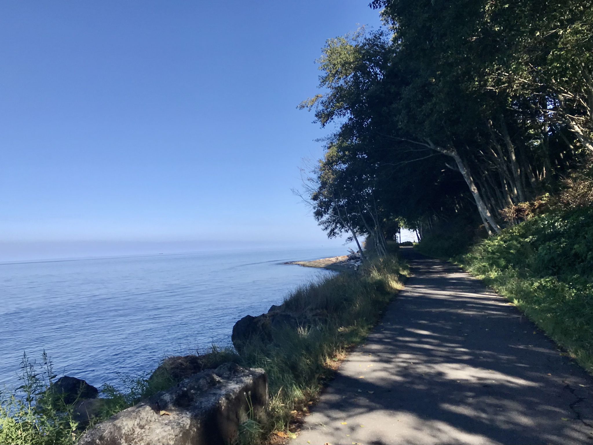 Shaded paved path alongside calm blue water and green trees on a sunny day. - Port Angeles – Stunning View of Water loop from Port Angeles