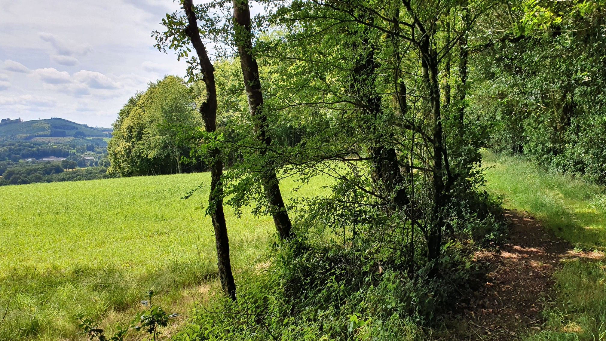 lisiere