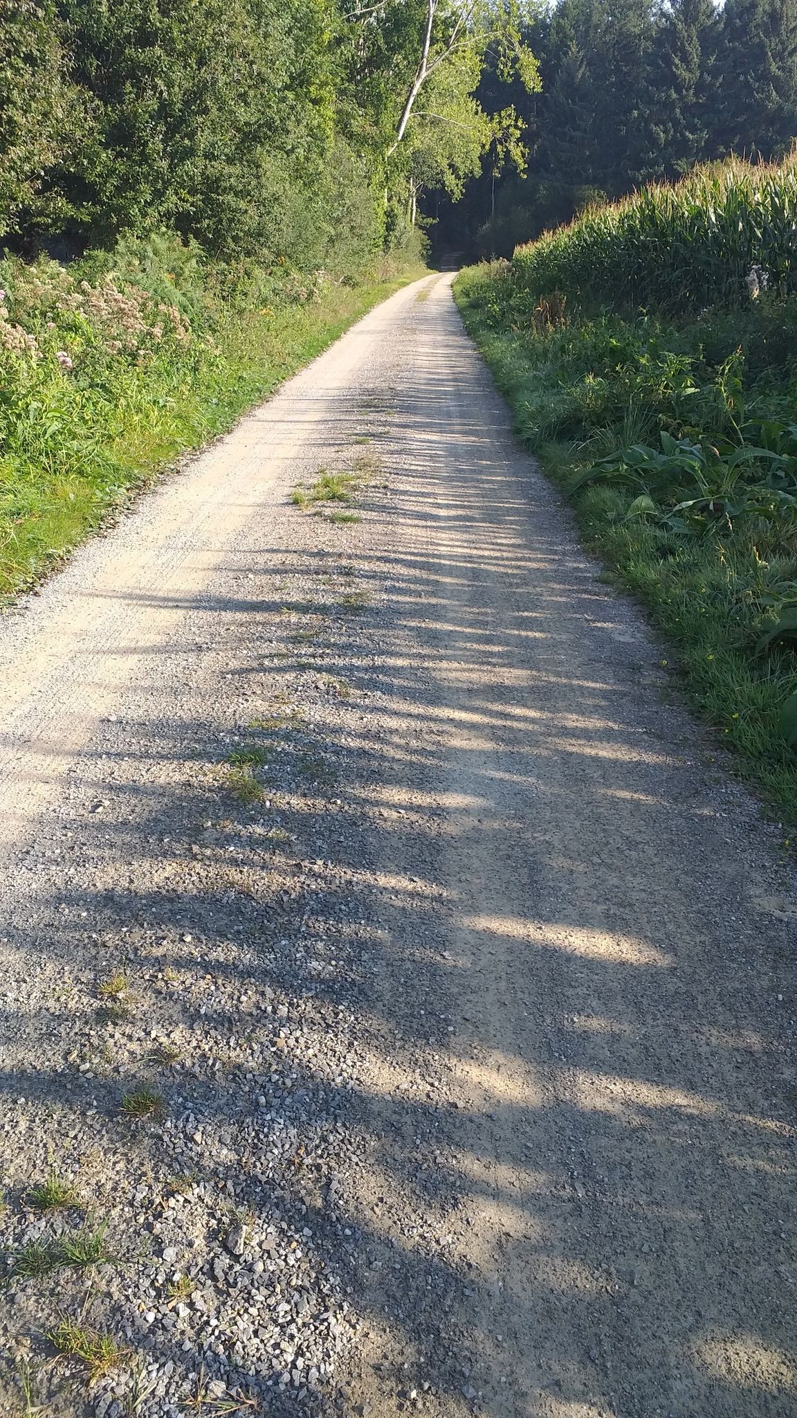 Section Gravel 