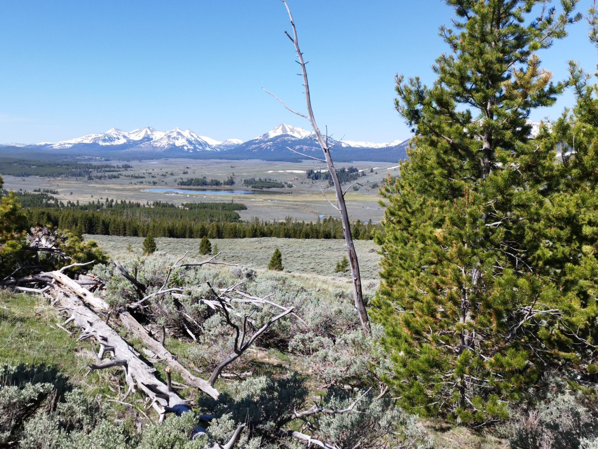 Wide valley with distant snow-capped mountains under a clear blue sky. - Bunsen Peak loop from Bunsen Peak