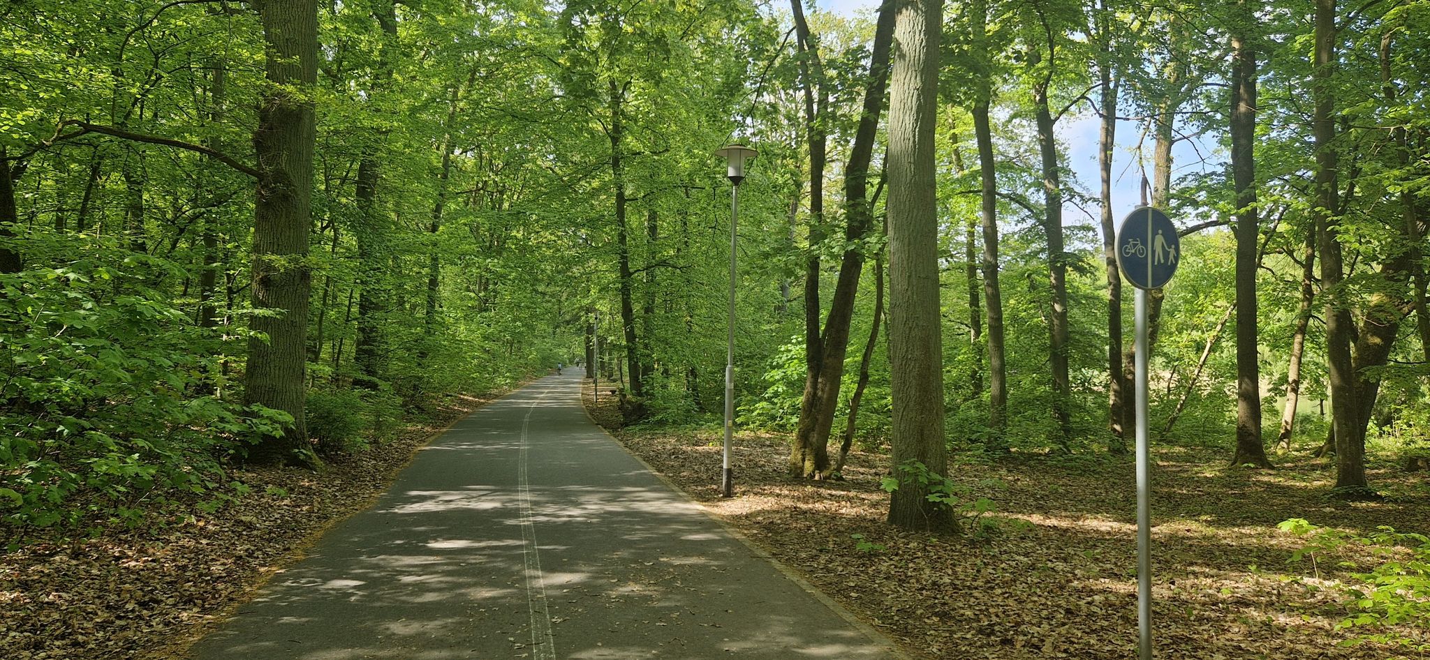 Stettin - Erstklassiger Radweg