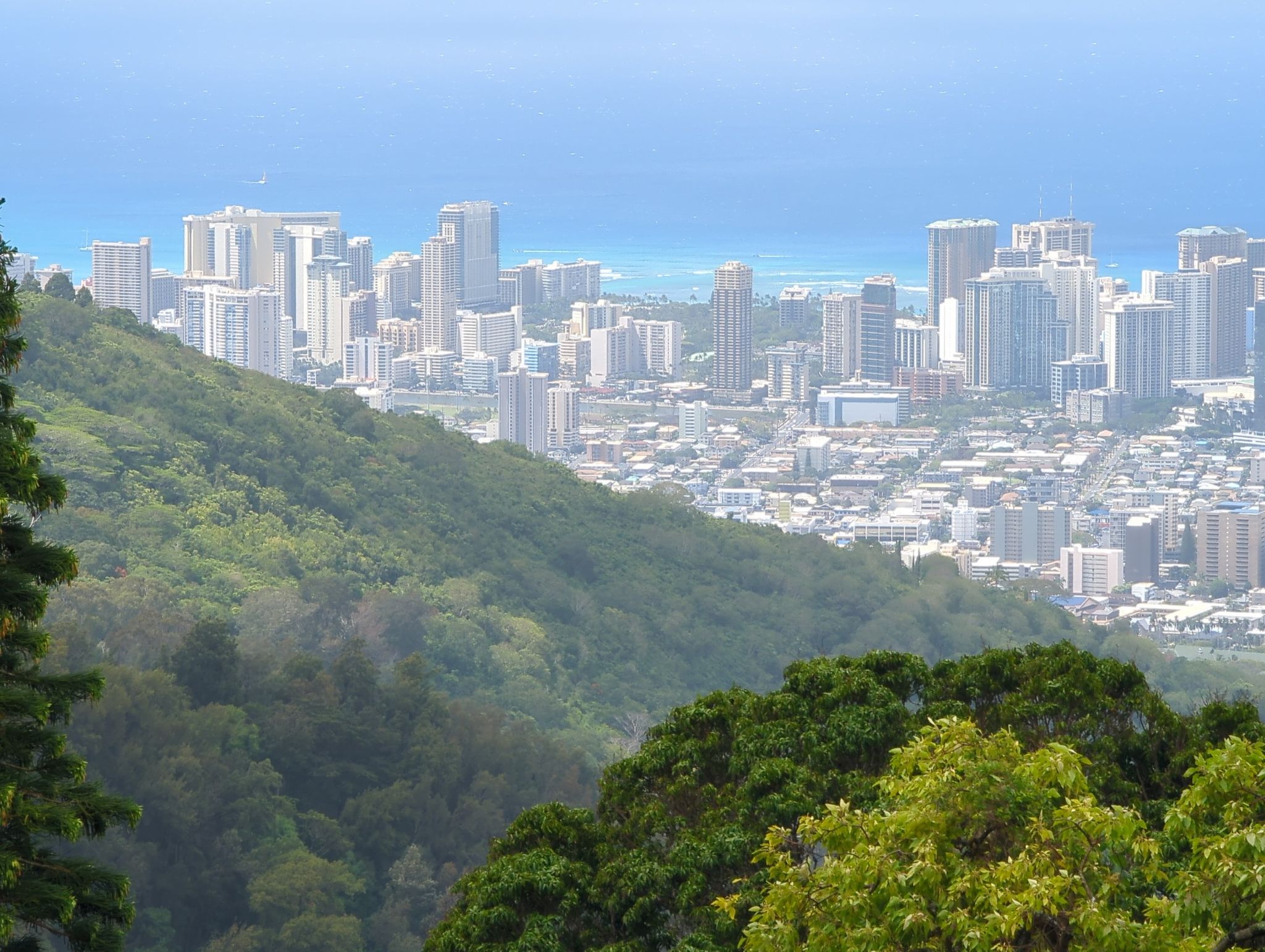 City skyline behind lush green hills and distant blue ocean. - Pu'u 'Ōhi'a, Mānoa Cliff and Kalawahine Trail Loop