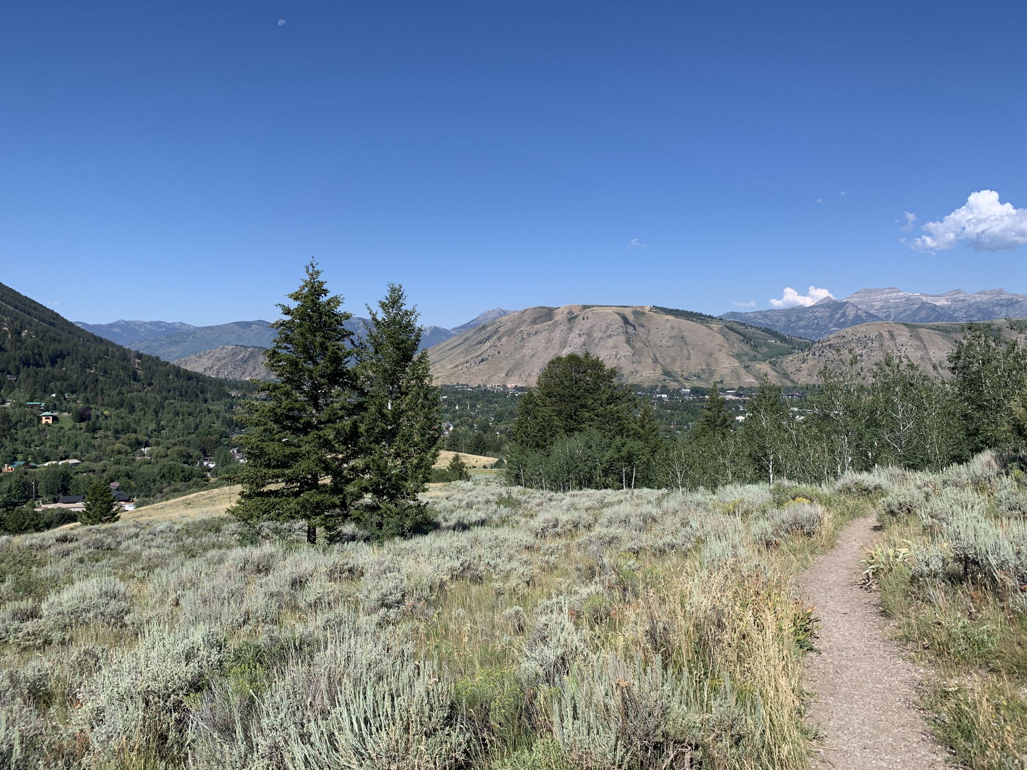 A dirt path winds through sagebrush towards distant mountains on a clear day. - Putt-Putt Trail Viewpoint loop from Jackson
