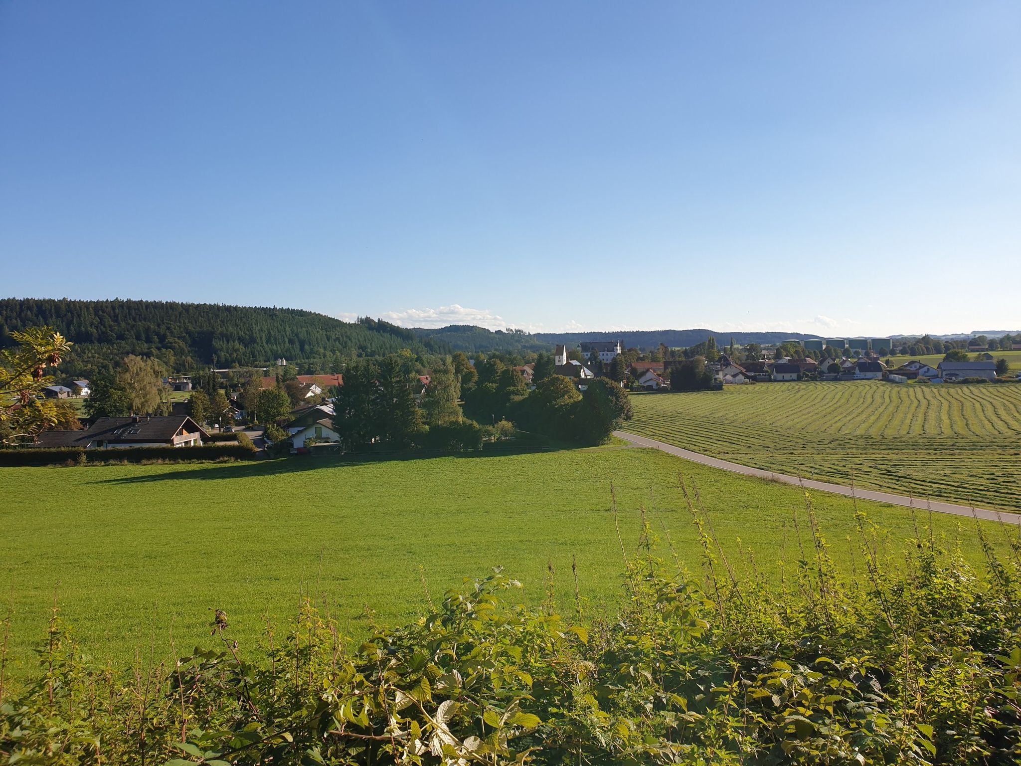 Altmannshofen