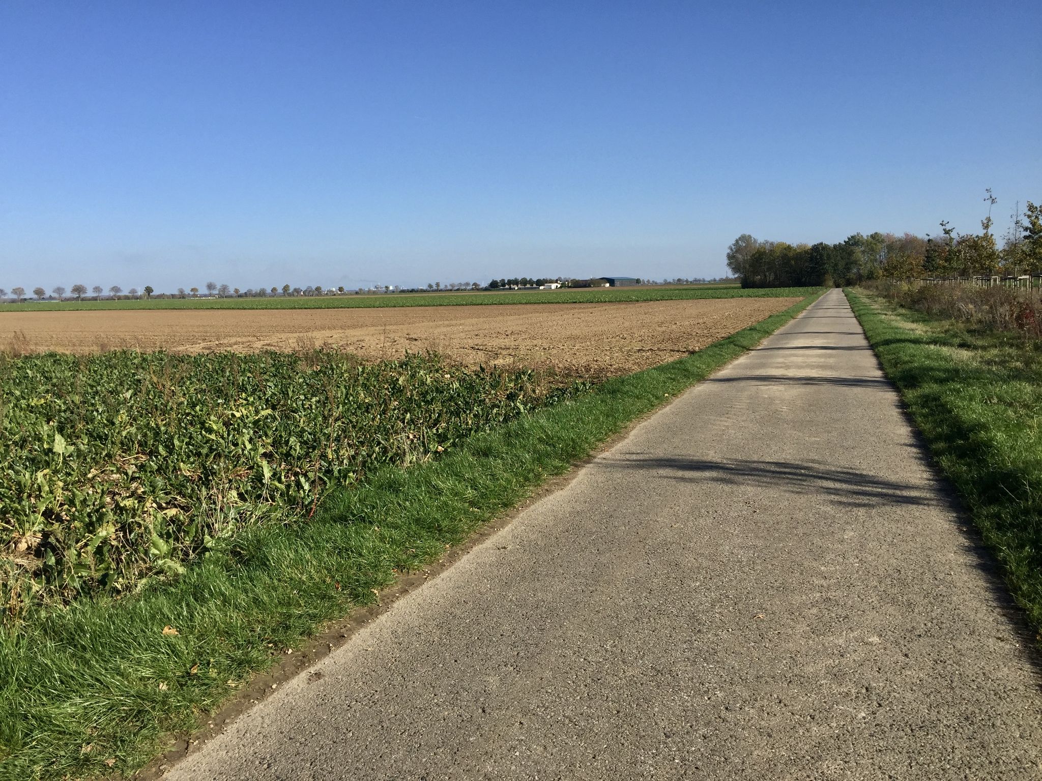 Fernsicht bis nach Knapsack