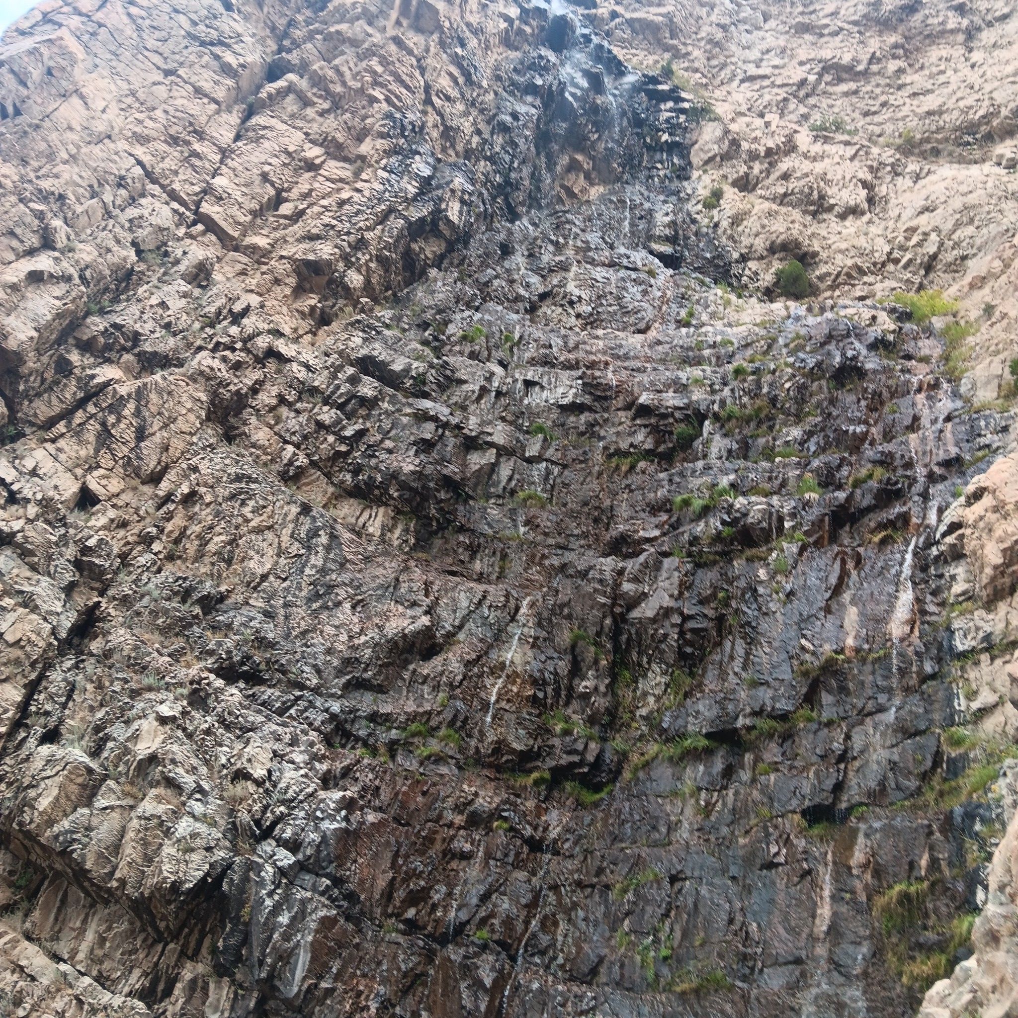 Close-up of a dark, wet, textured rock face with trickling water. - Waterfall Canyon Trail