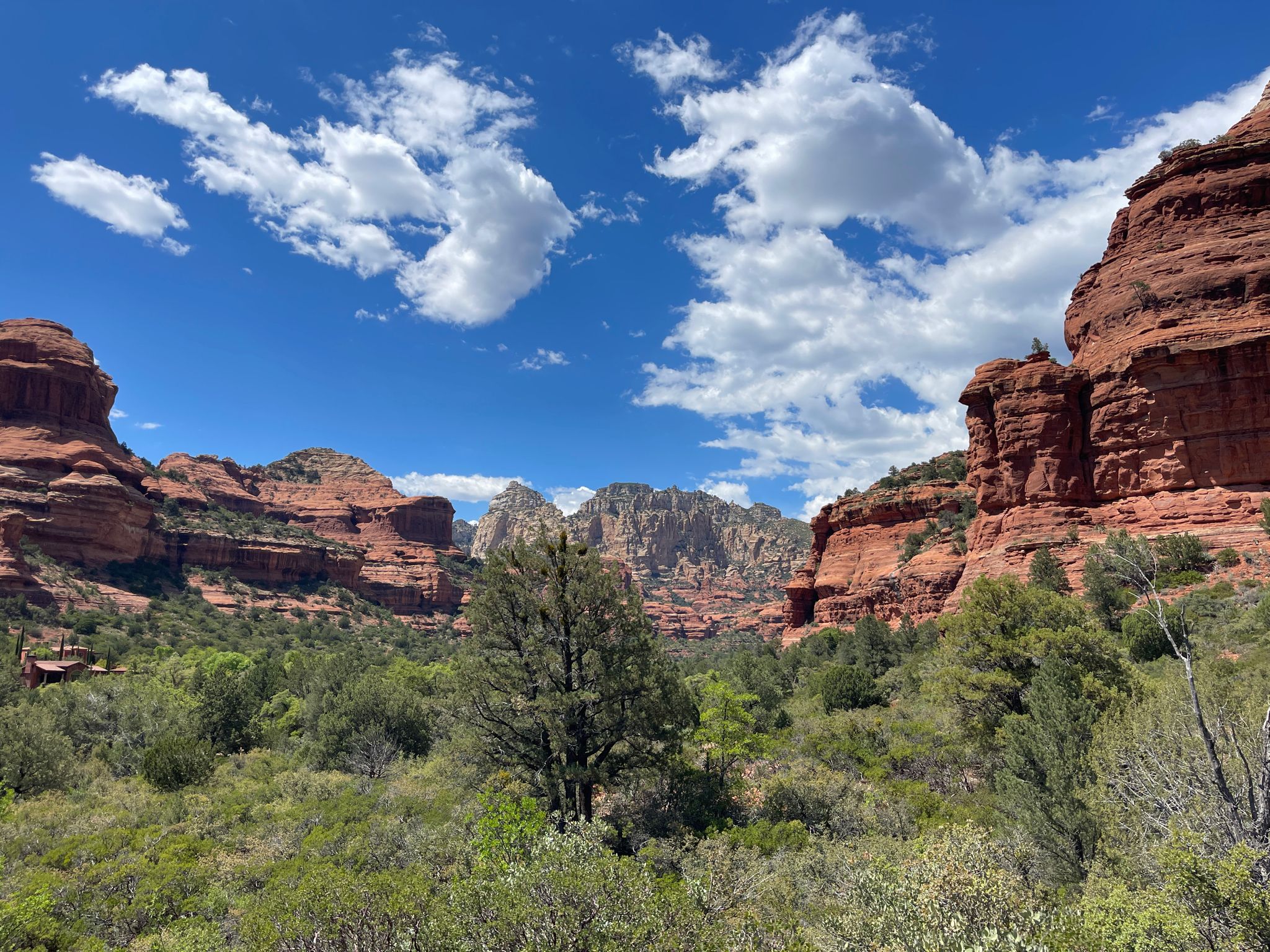 Expansive view of red rock formations and green desert plants under blue sky. - Boynton Canyon Trail