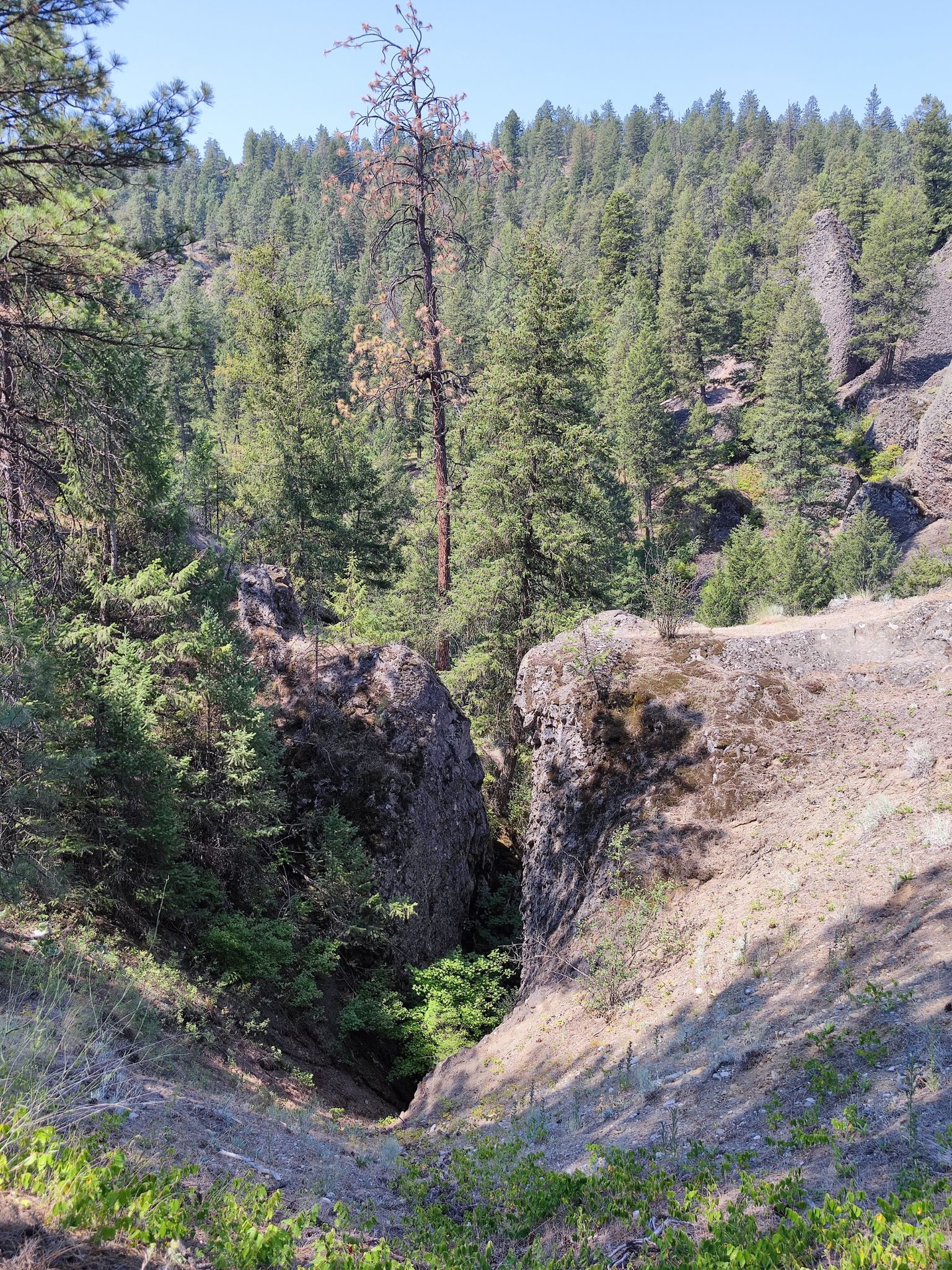 A narrow rocky gorge with steep sides, surrounded by dense green forest. - Deep Creek Overlook