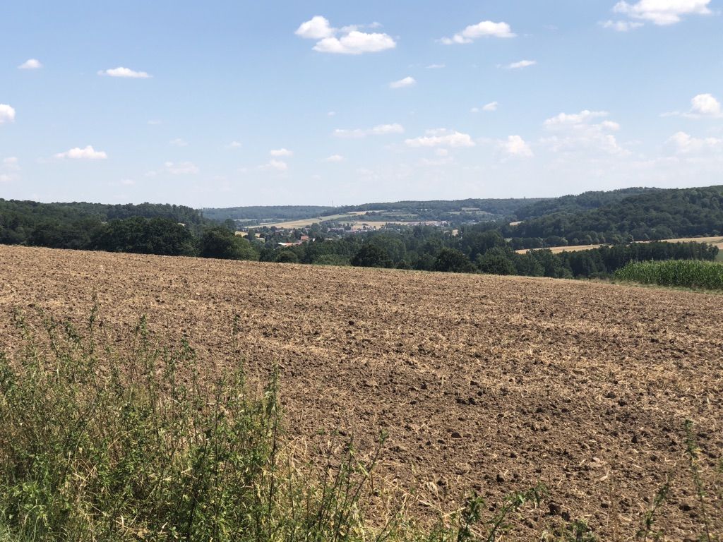 Rülfenrod
