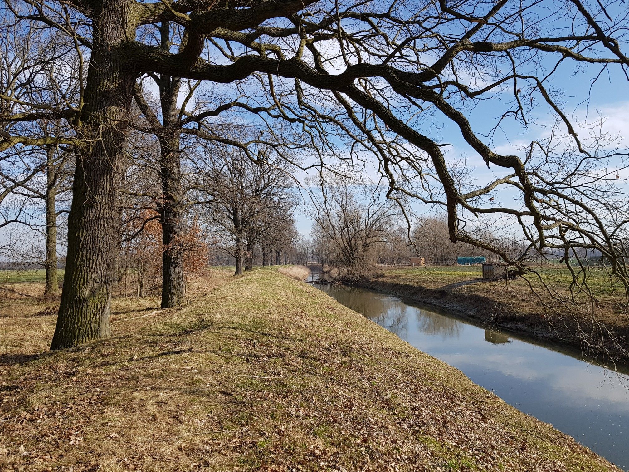 am Löbauer Wasser