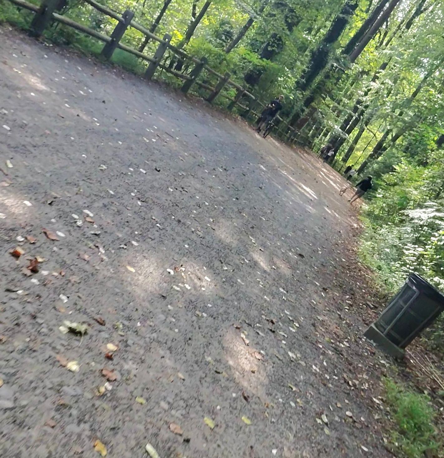 Dirt path through green forest with dappled sunlight, distant walkers. - Wissahickon Creek Waterfall – Kitchen's Lane bridge loop from Wissahickon