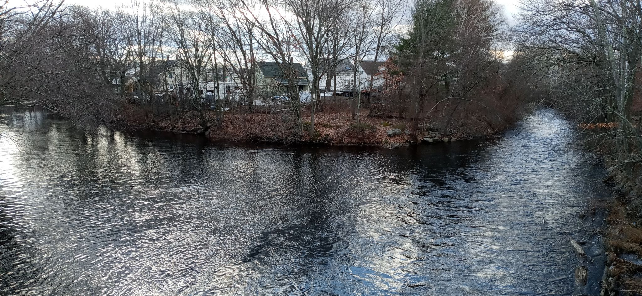River splits around a tree-covered island with houses in the distance. - Quincy to Dell Avenue Rock loop via Green Street
