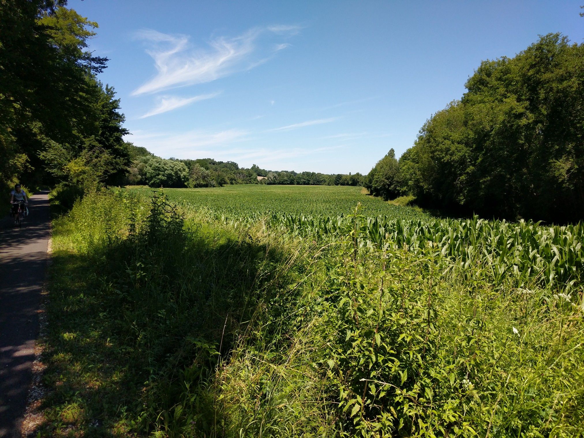 Corn! 