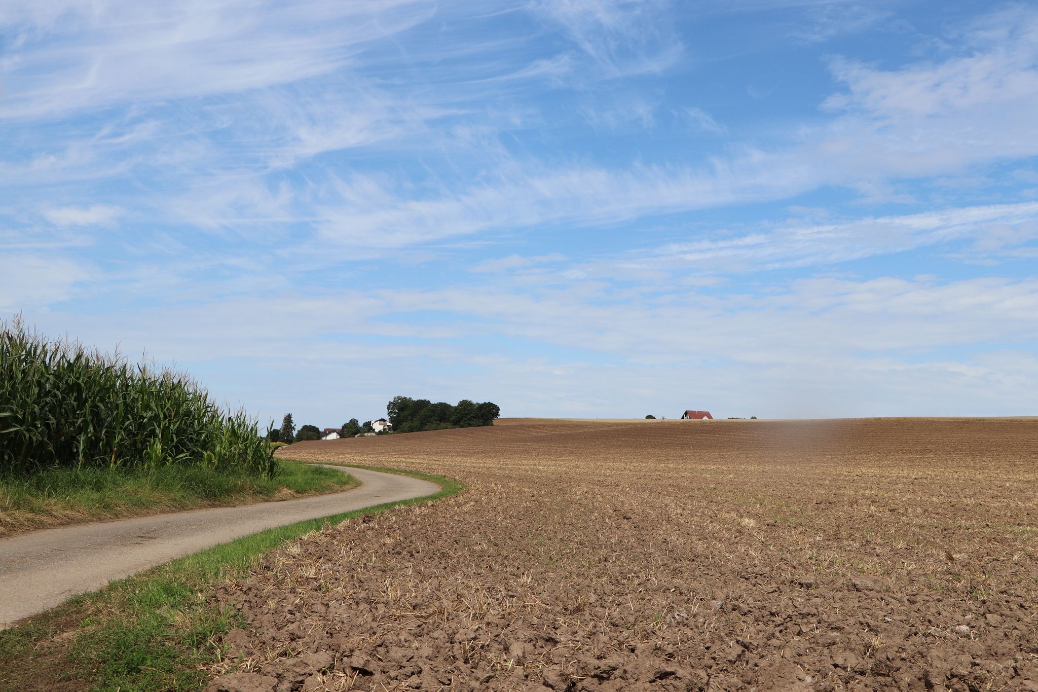 Felder bis an den Ortsrand