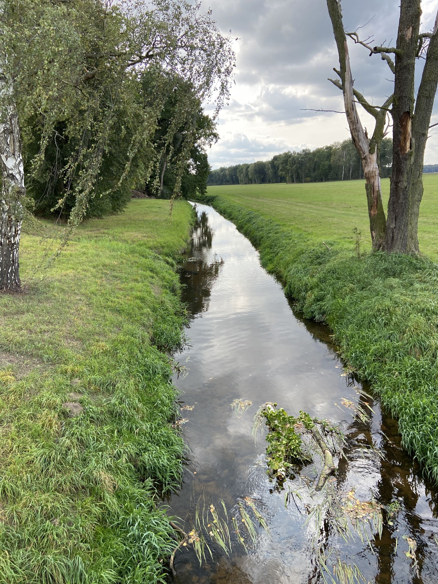 Schwarze Elster bei Milstrich 