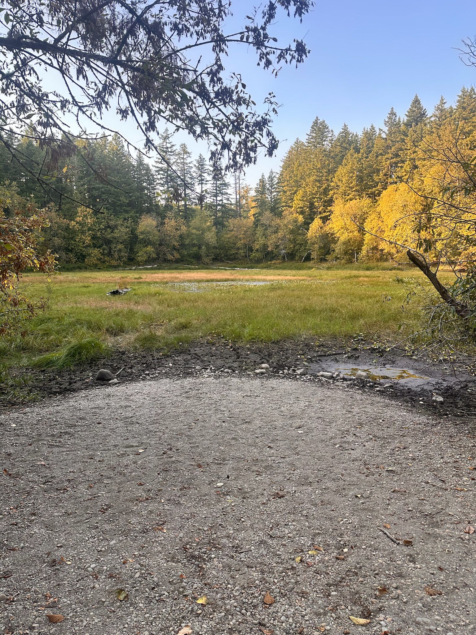 Grassy field with surrounding autumn trees under a clear sky. - Tradition Plateau loop