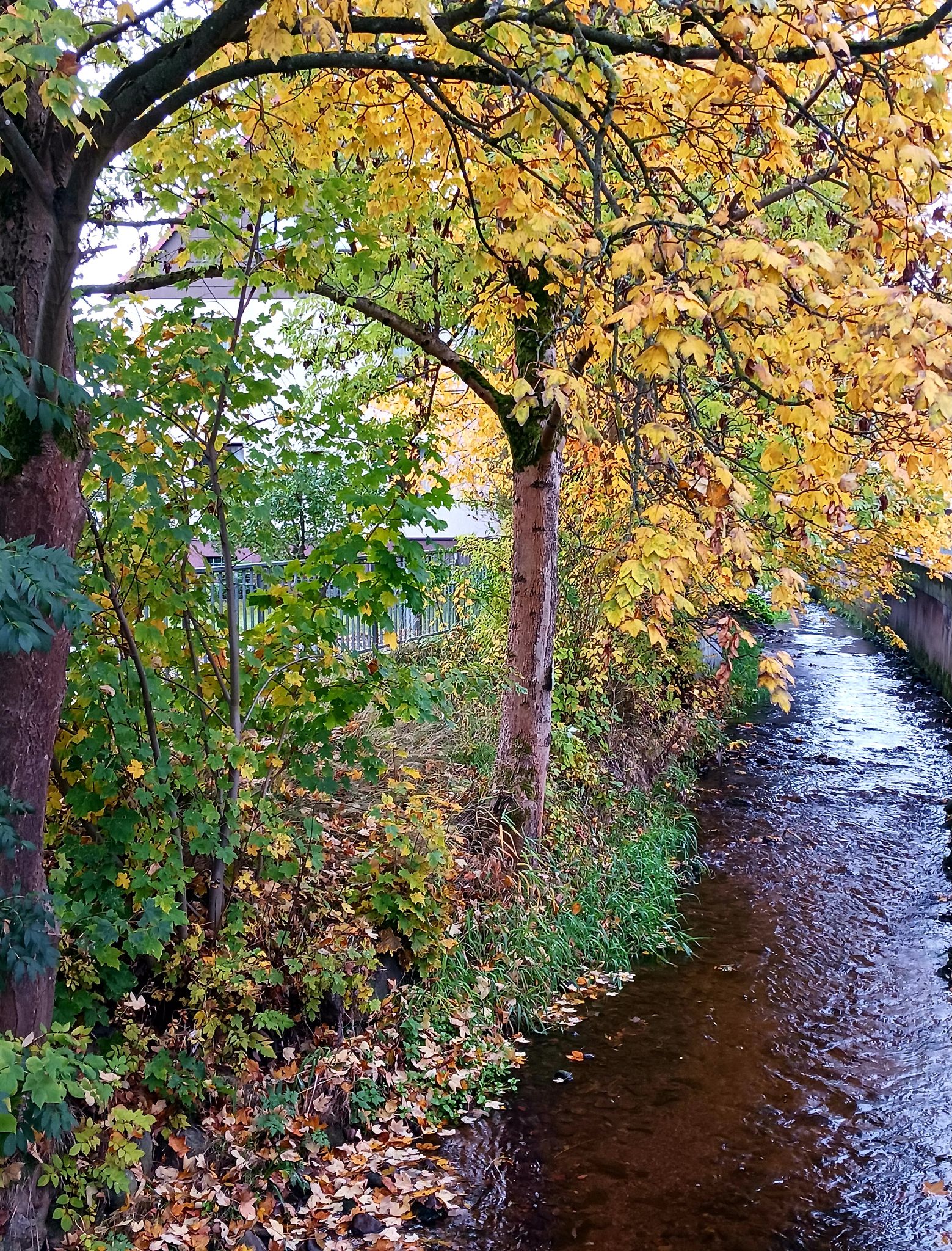 Lubenbach