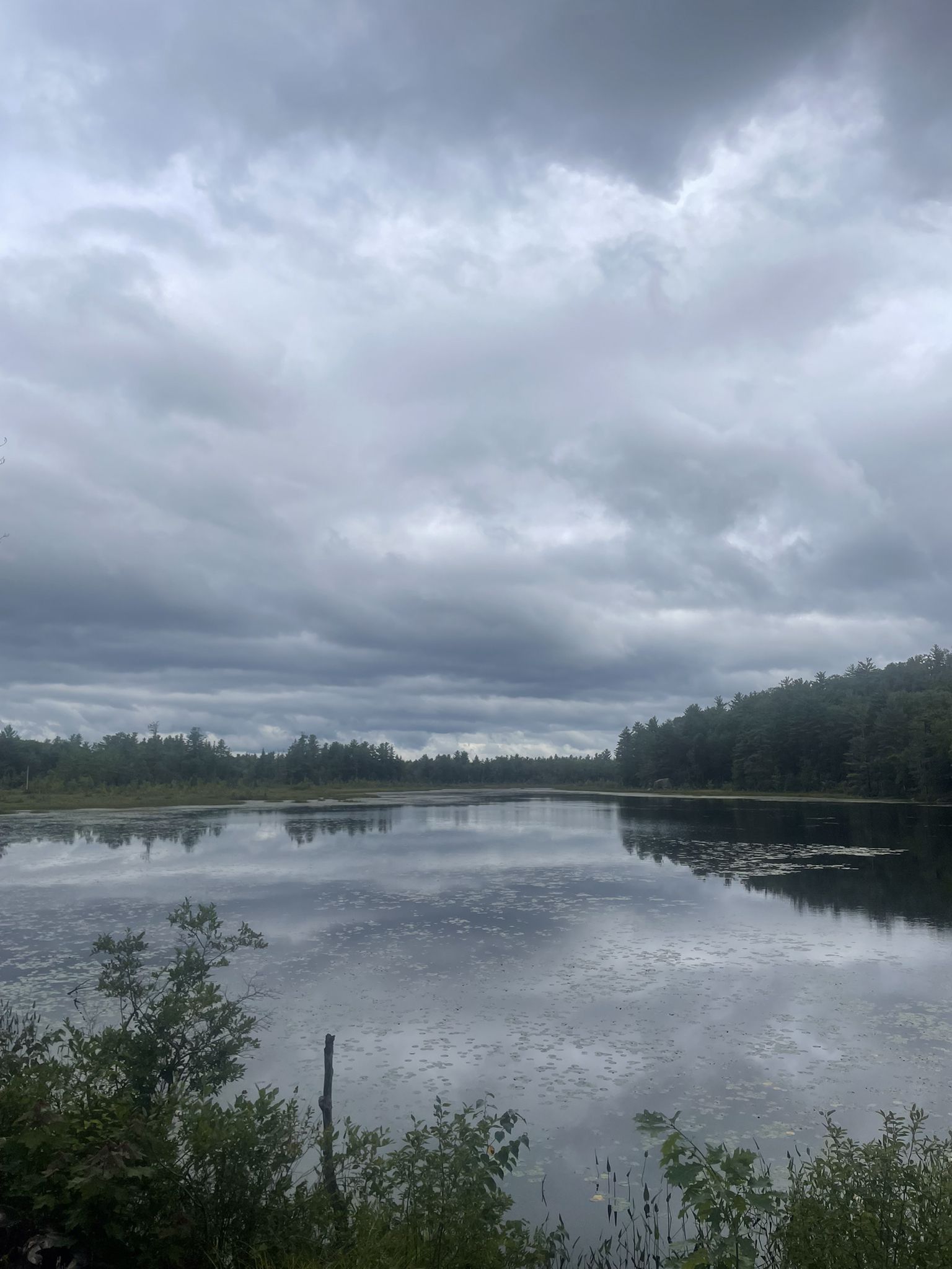 Overcast sky reflects on a calm lake surrounded by dense green forest. - Harrisville/South Stoddard loop