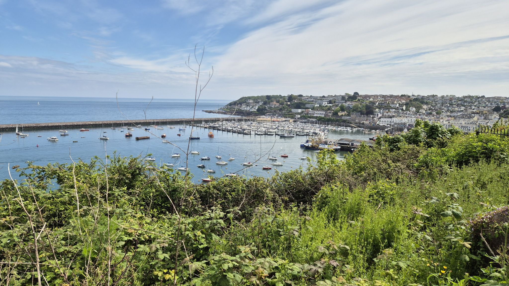 Brixham Harbour