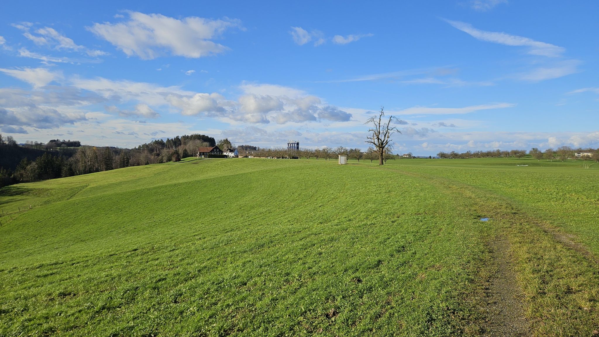 Wetter teils etwas blau