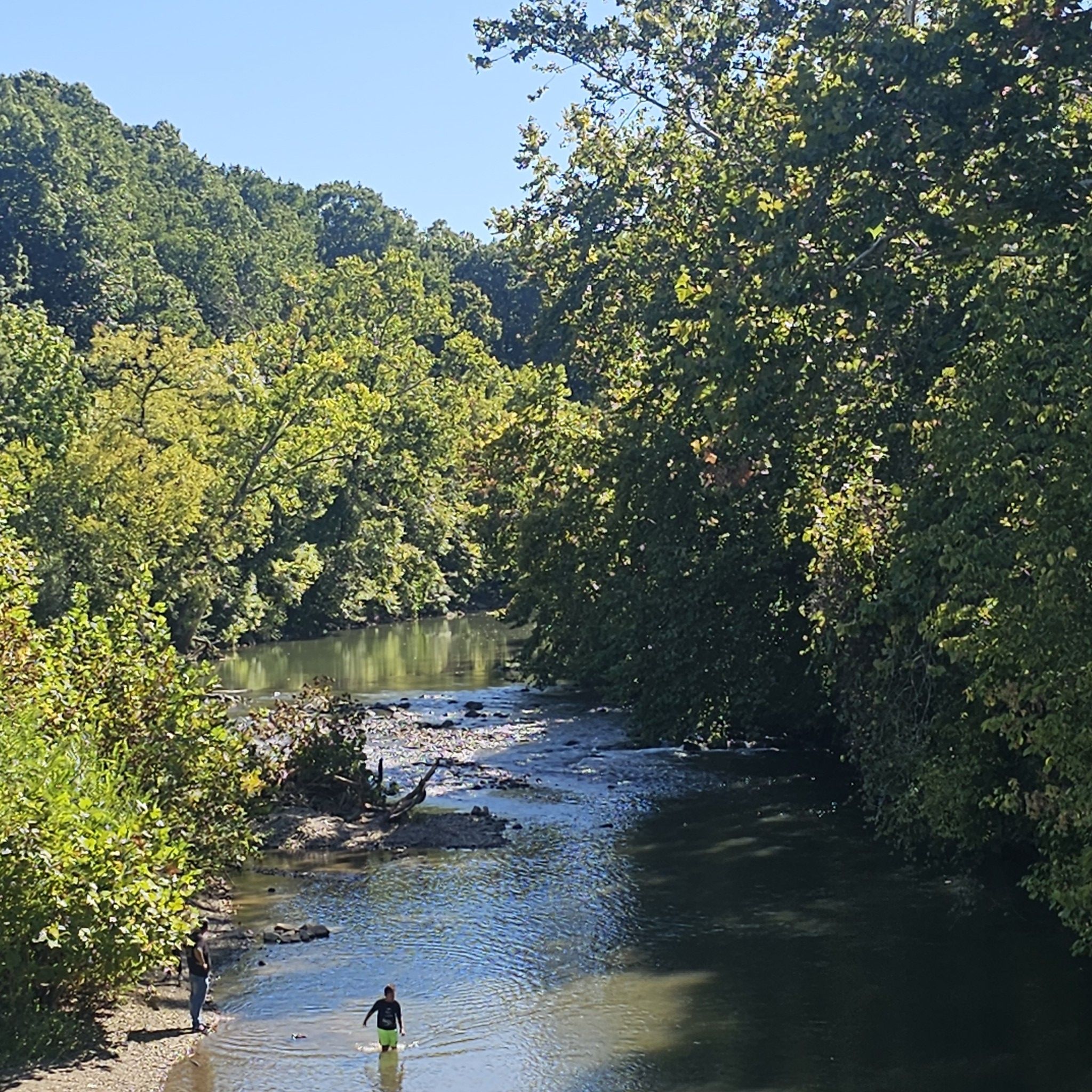 Two people wading in a shallow, tree-lined river on a sunny day. - Roanoke River Greenway