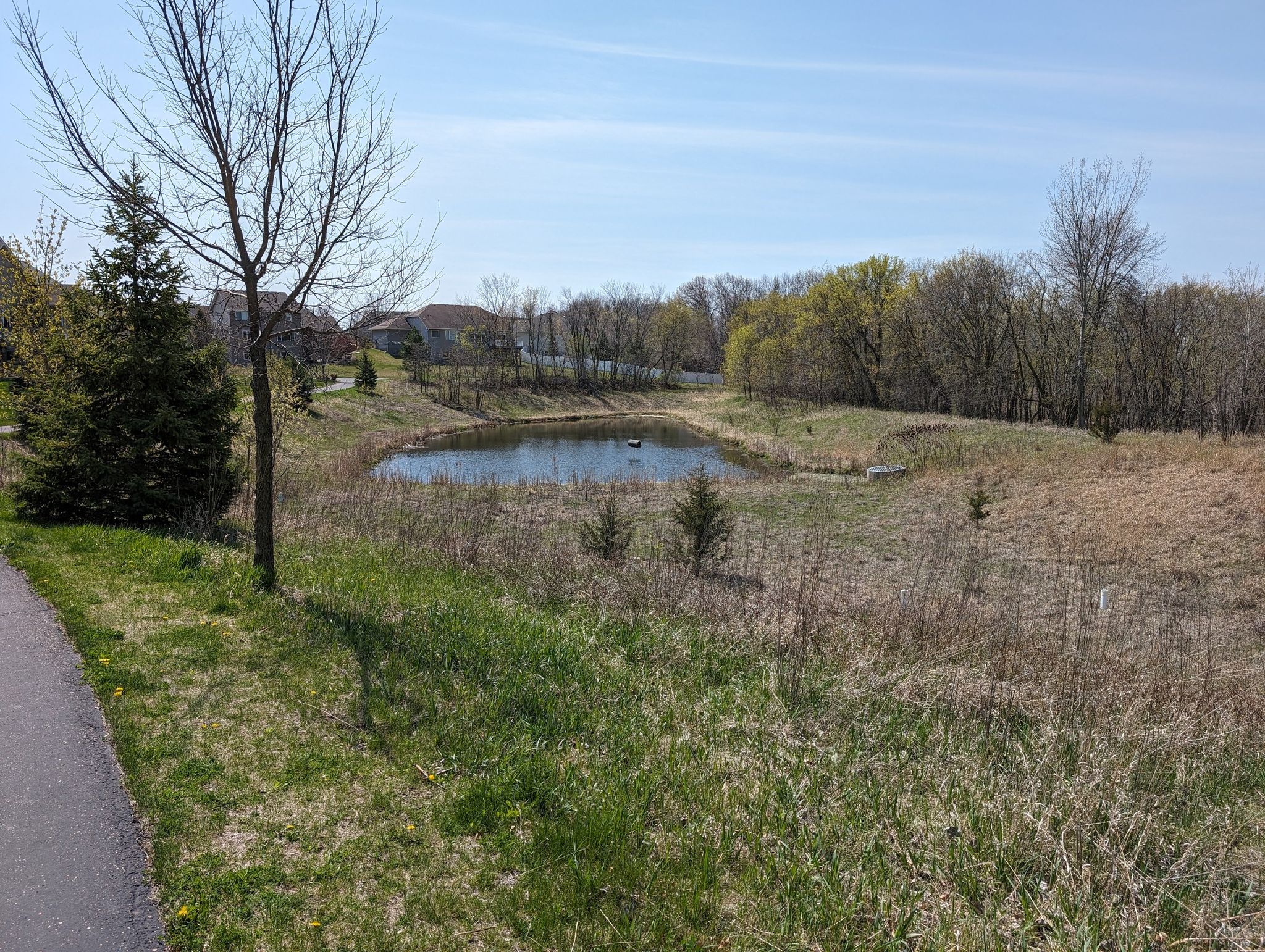 Small pond surrounded by dry grass and bare trees under clear sky. - Spring Lake Regional Trail