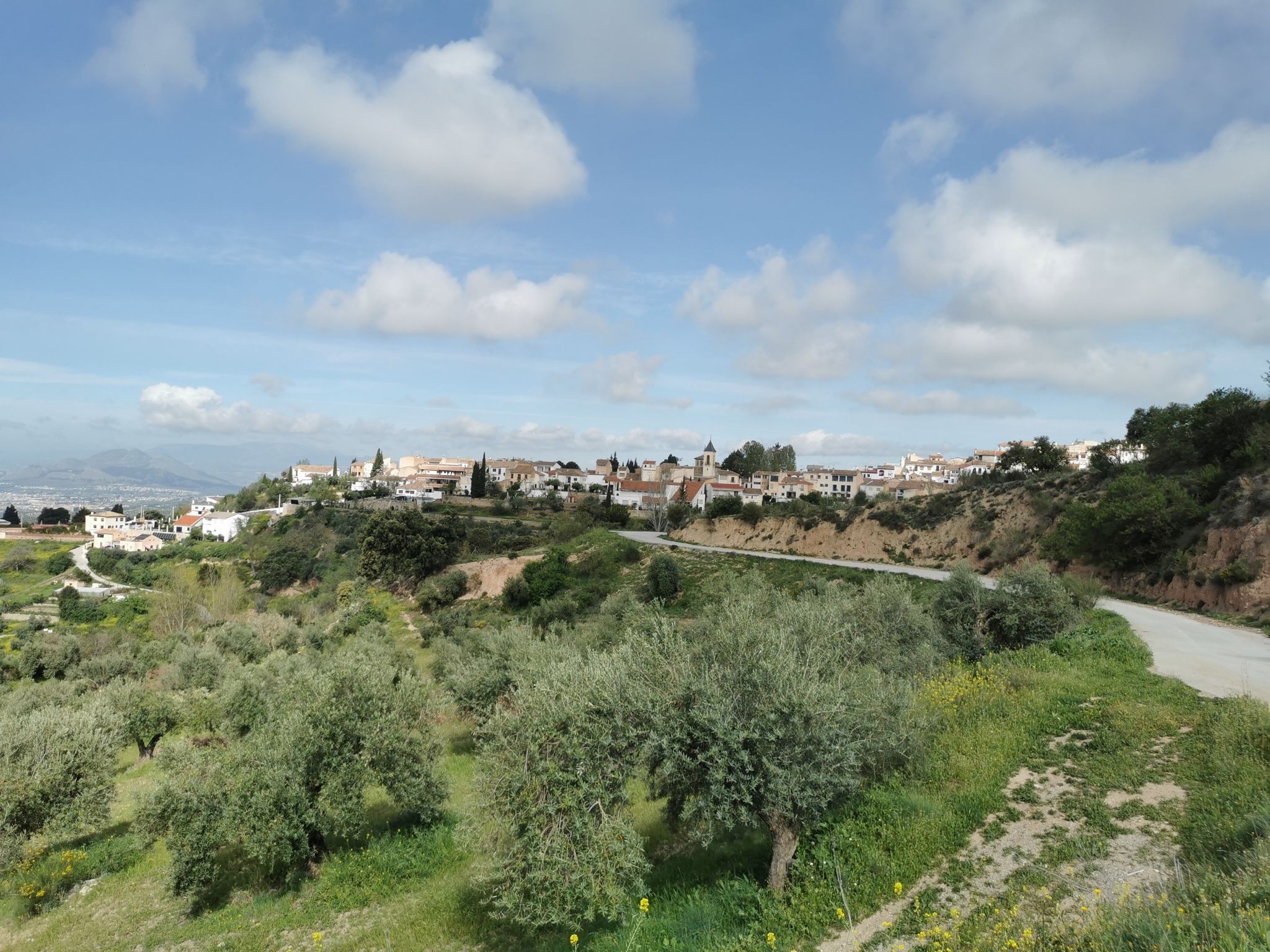 Viznar