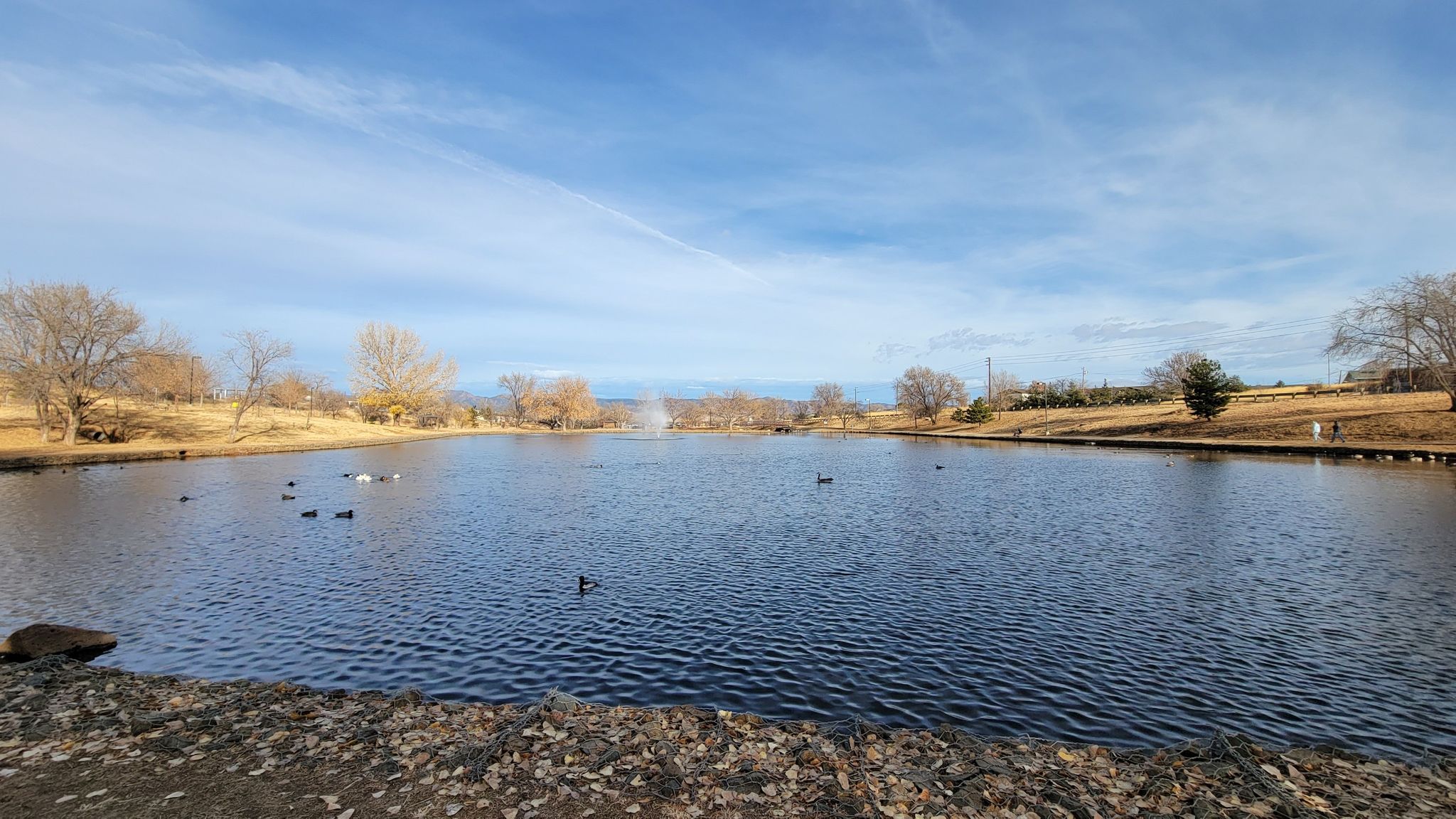 Sunny day over a wide pond with ducks and a distant fountain. - Town of Prescott Valley Bicycle Route 1