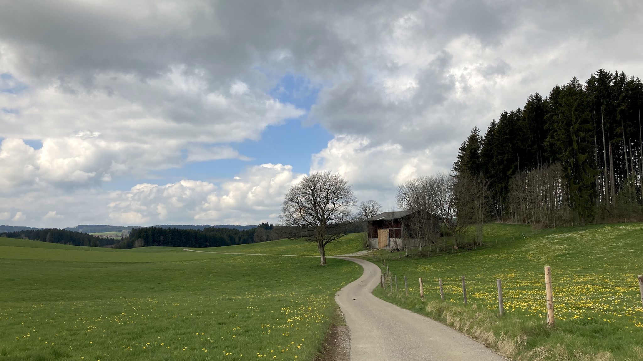 Geschlängel #1