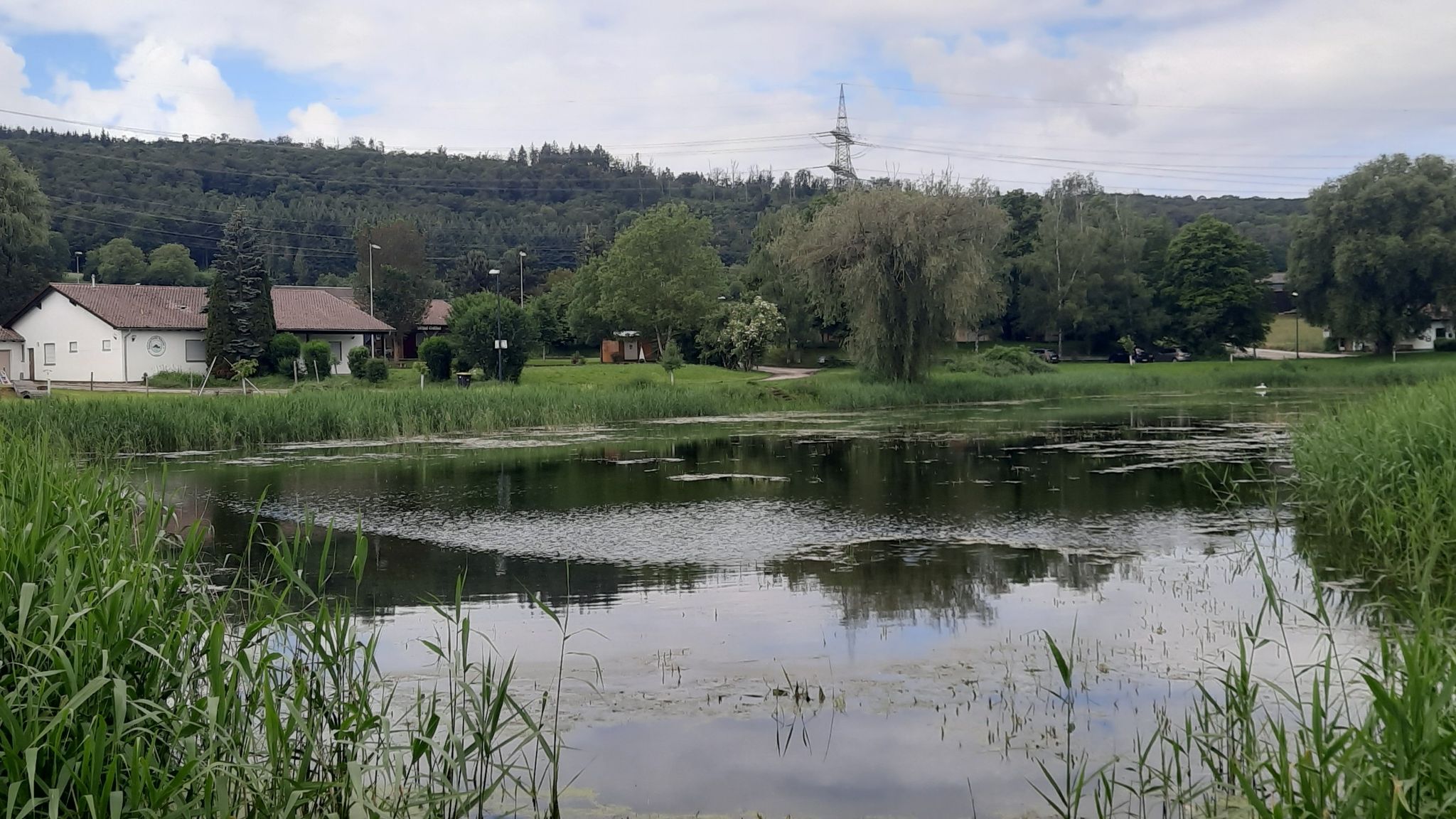 Wullesee